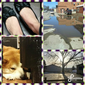 Some of my most recent challenge pictures: the ability to wear flats, melting snow, my Pup Nike, and beautiful weather to run outside in!